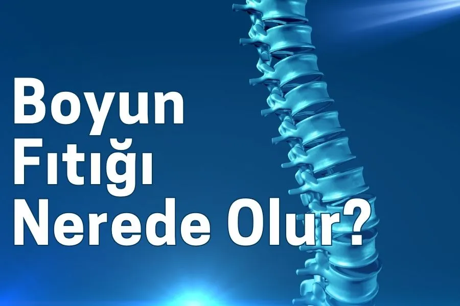boyun fıtığı nerede olur